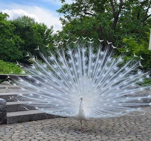 Hilfe-fuer-Sensitive01