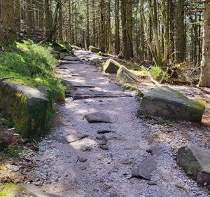 Wirbelsaule-und-Gelenke01